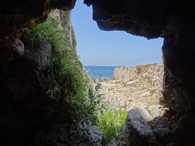 DSC05296
