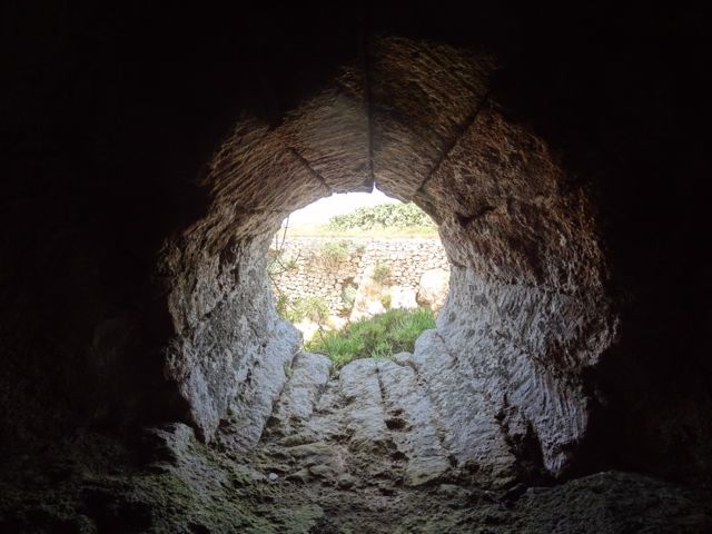 DSC05299