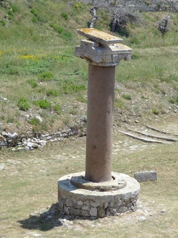 DSC05321