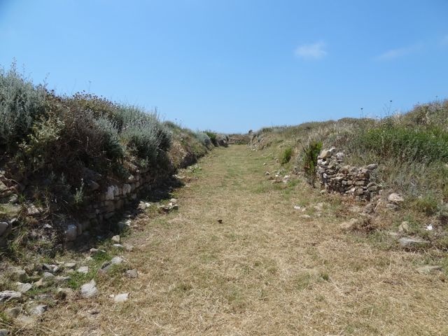 DSC05325