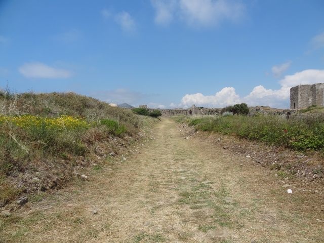 DSC05326