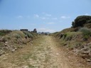 DSC05327