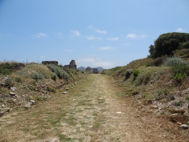 DSC05327