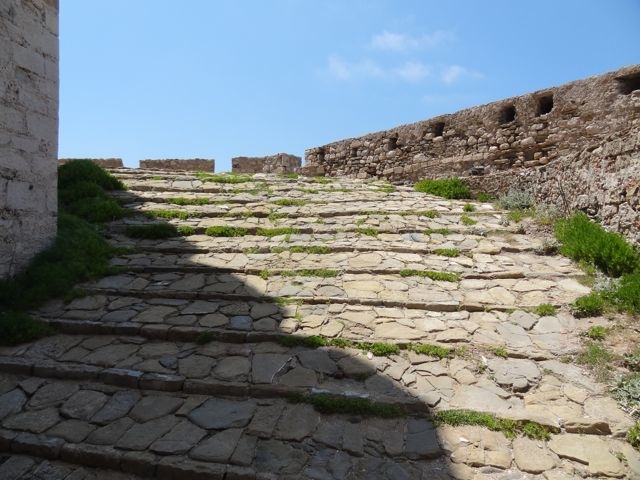 DSC05340