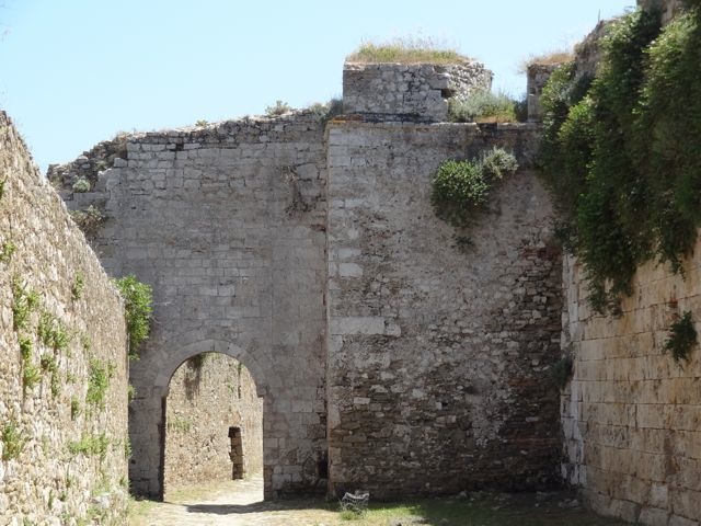 DSC05355