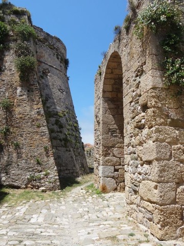 DSC05356