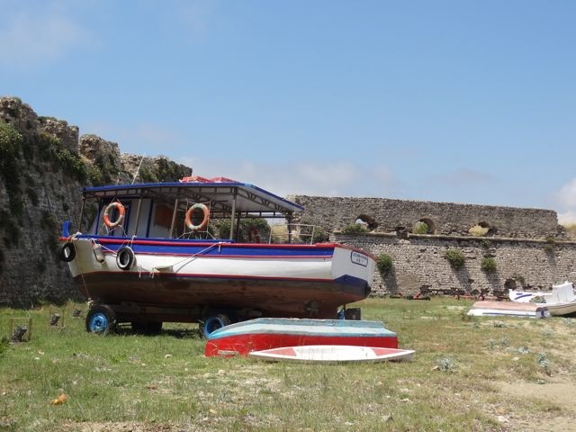 DSC05363