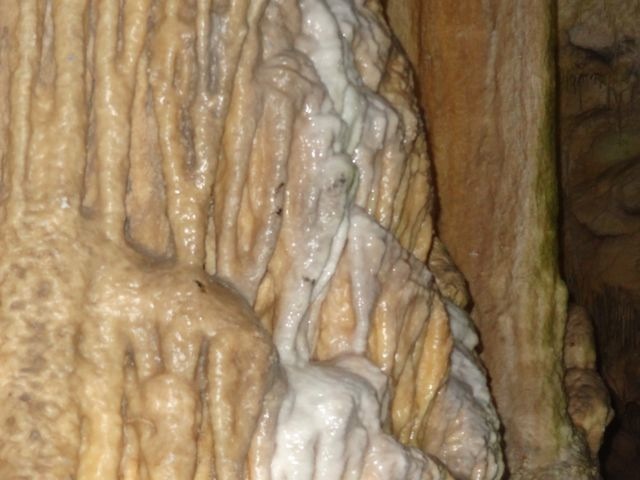 DSC05388