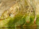 DSC05402