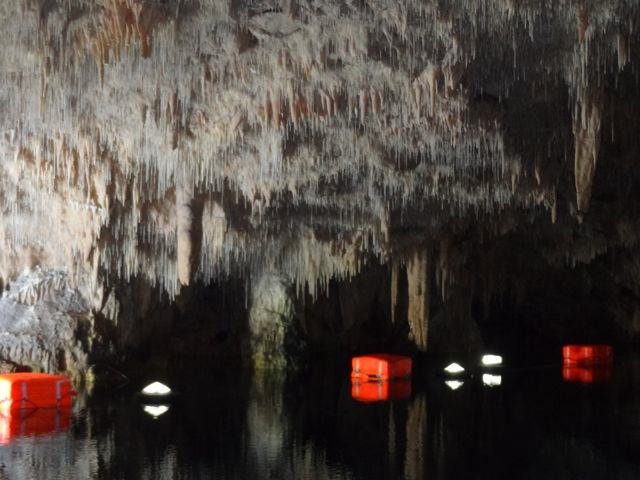 DSC05409