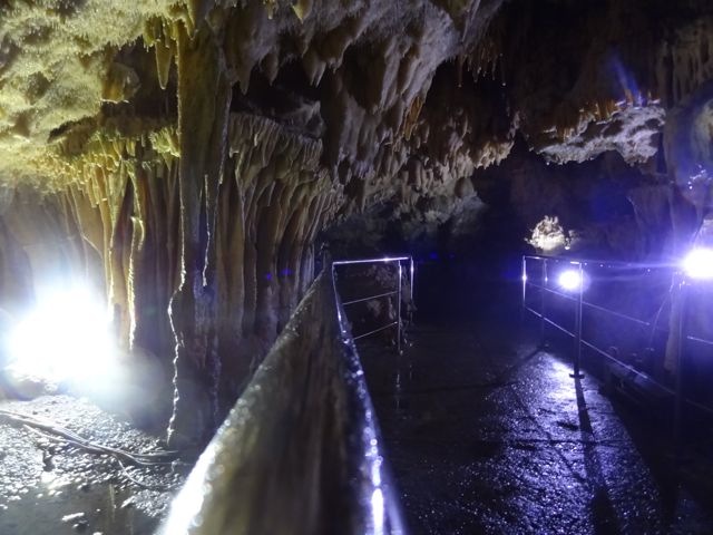 DSC05410