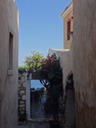DSC05428