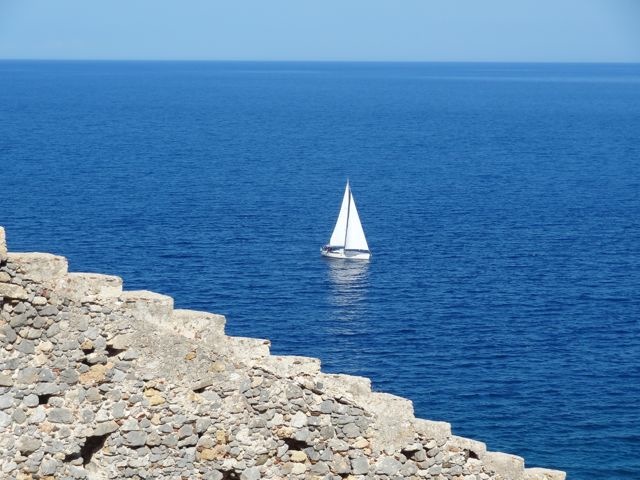 DSC05441