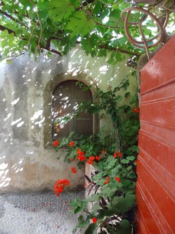 DSC05446