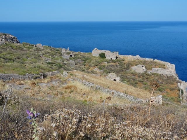 DSC05462