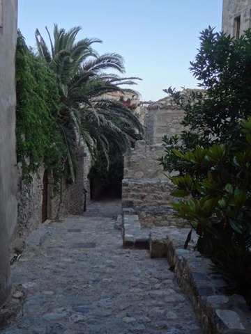 DSC05502
