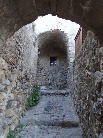 DSC05507