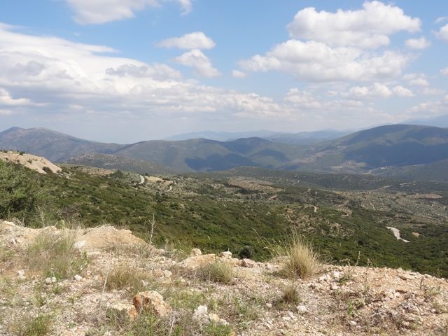 DSC05562
