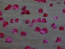 DSC05572