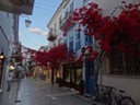DSC05573