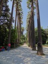 DSC05700