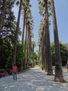 DSC05701
