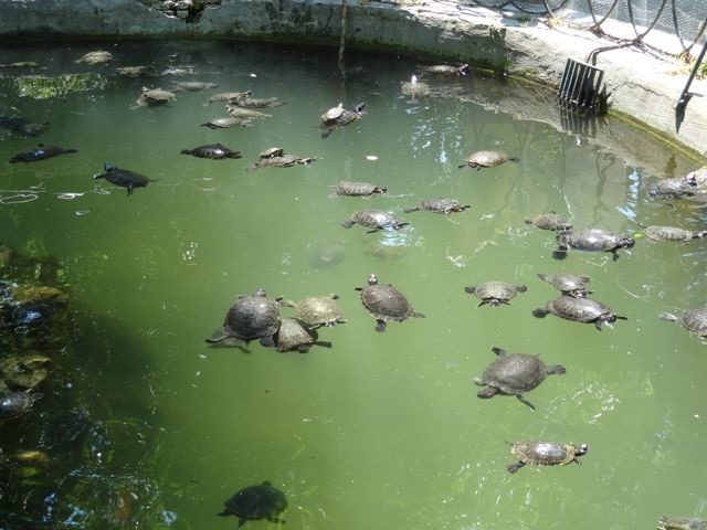 DSC05702