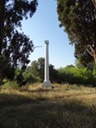 DSC05803