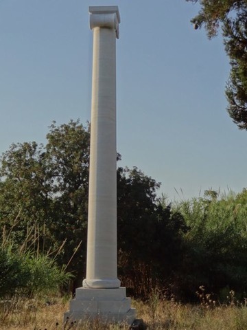 DSC05806