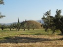 DSC05808