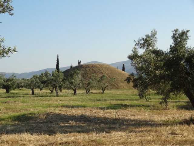 DSC05808