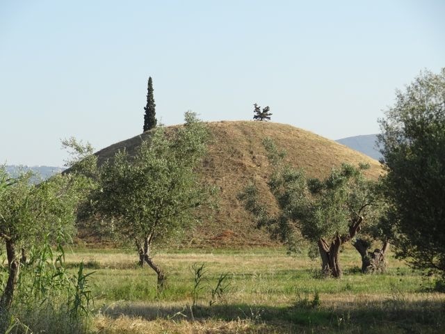 DSC05810