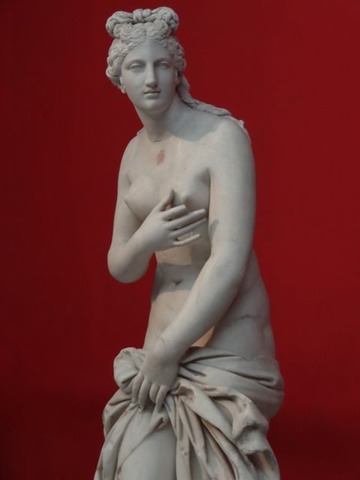 DSC05867