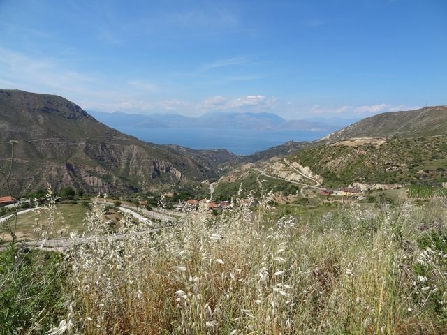 DSC05959