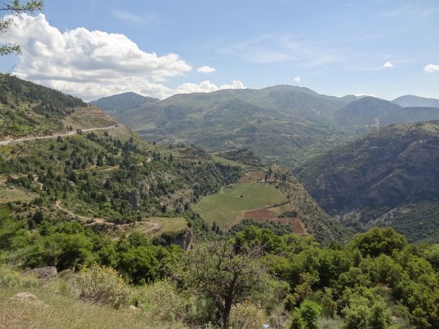 DSC05960