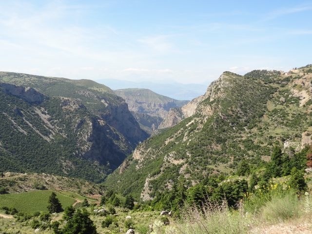 DSC05961