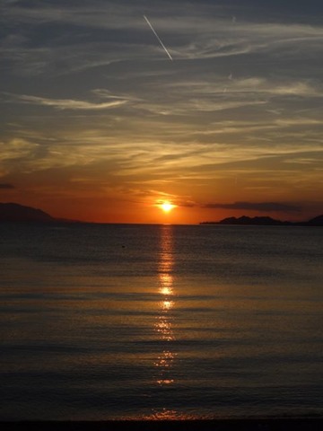 DSC05969