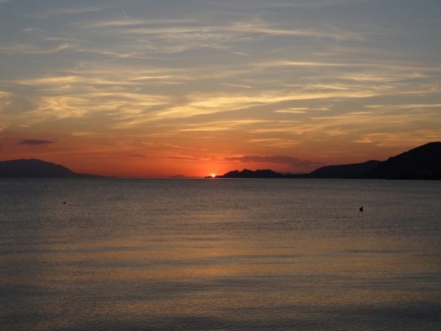 DSC05972