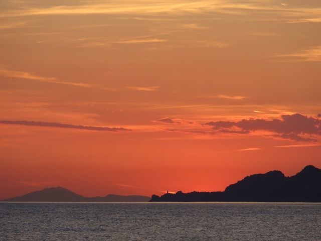 DSC05978