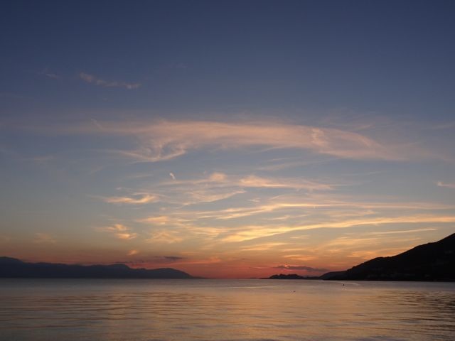 DSC05982