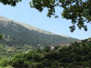 DSC06075