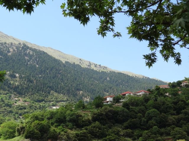 DSC06075