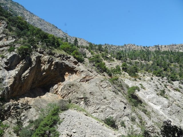 DSC06085