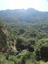 DSC06086