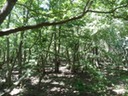 DSC06116