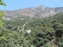 DSC06130