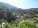 DSC06136