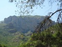 DSC06141