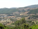 DSC06185