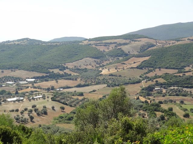 DSC06185